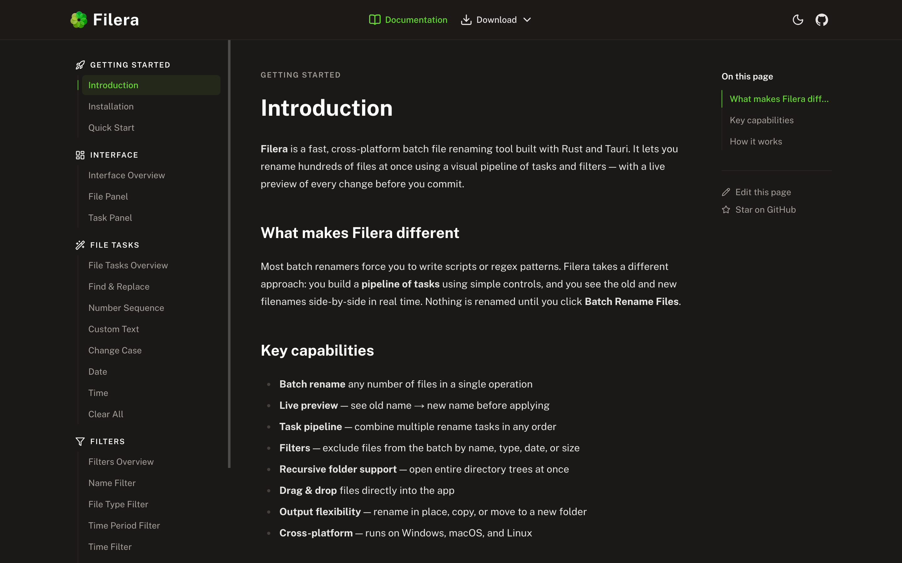 Filera documentation website showing the introduction and navigation for tasks, filters, and installation.